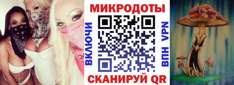 Галлюциногенные грибы Psilocybe  где можно купить наркотик  Мегион 