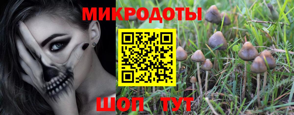 Псилоцибиновые грибы мухоморы  где купить наркоту  Мегион  Вход с VPN 