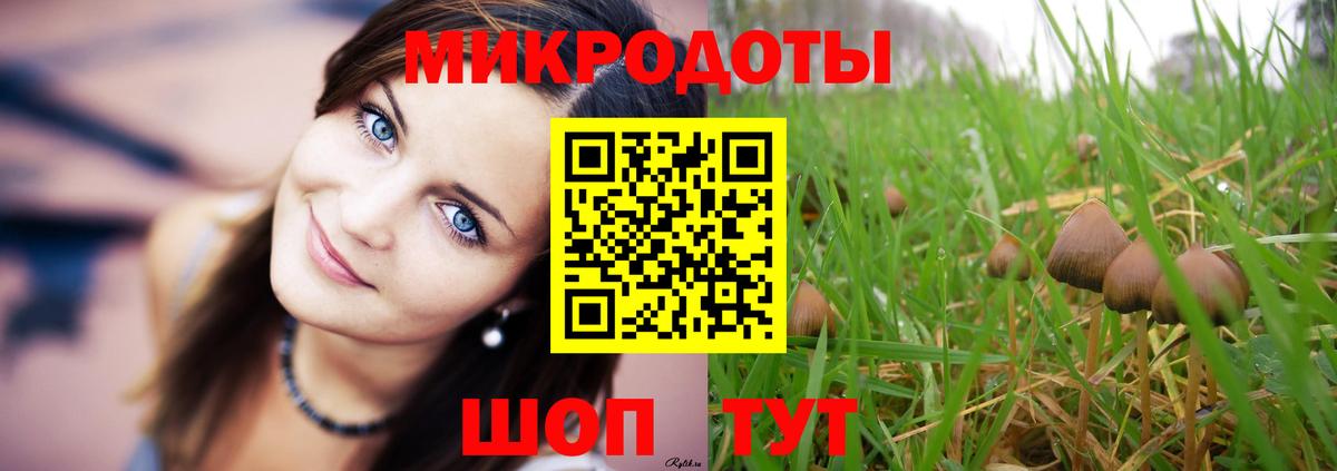 Псилоцибиновые грибы Psilocybe Мегион